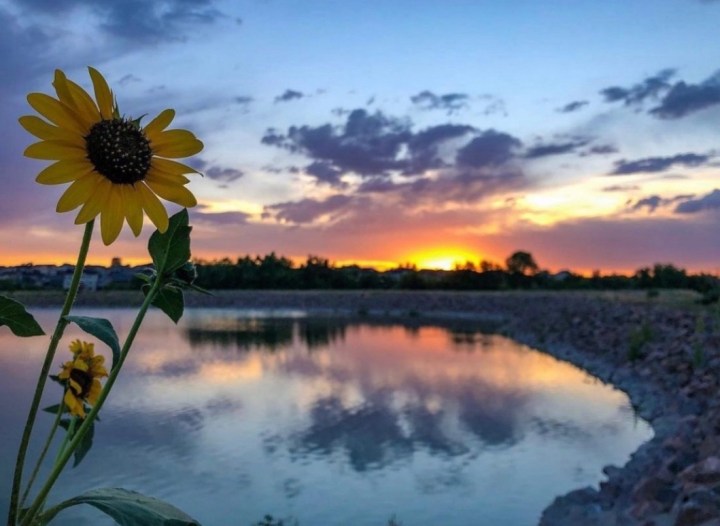 Hope That is Seen, Is No Hope at All – My Pregnancy Loss&nbsp;Journey