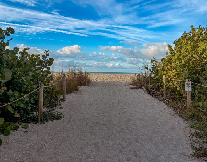 Things to Do in Venice Beach, Florida: A Hidden Gulf Coast&nbsp;Gem